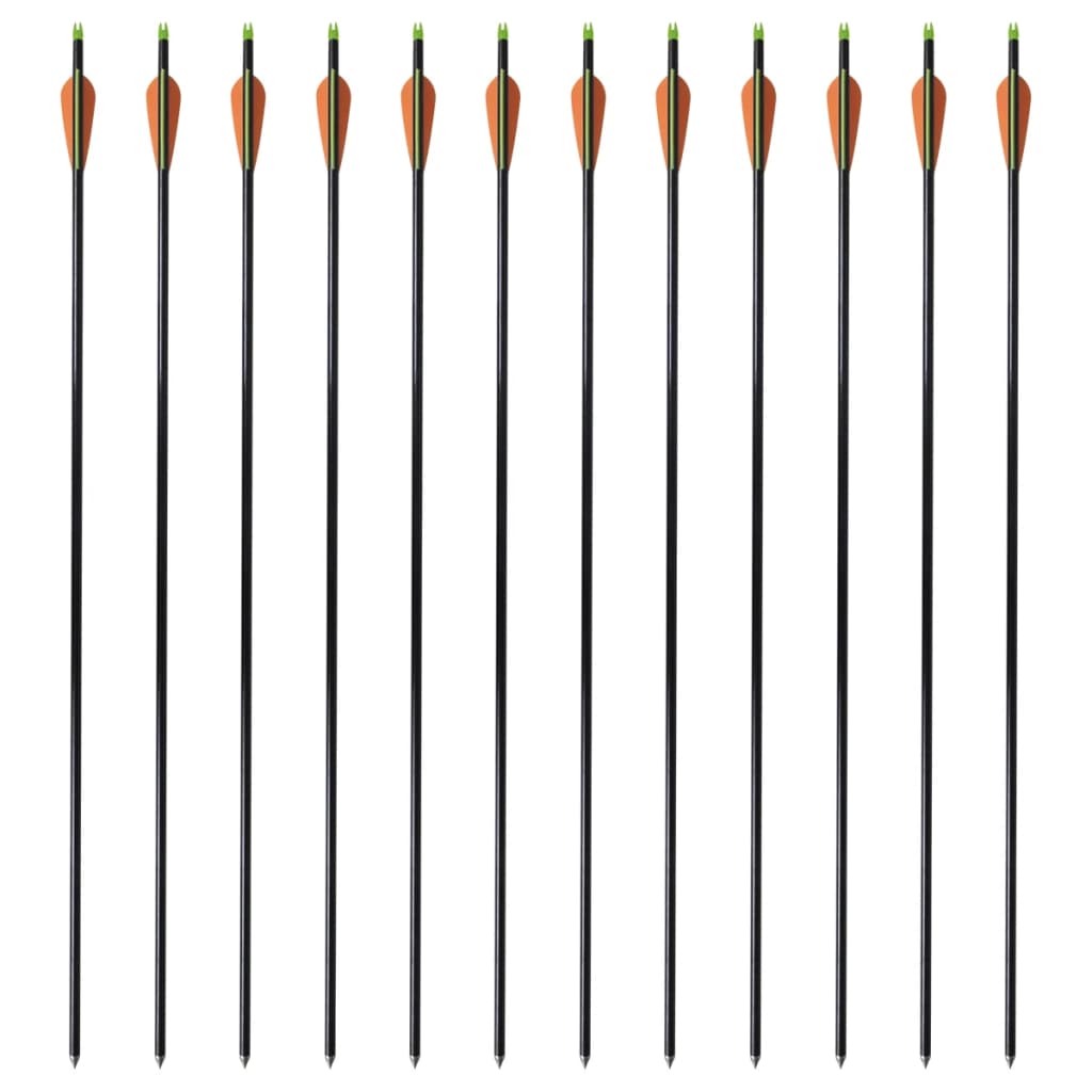 vidaXL Frecce per Arco Composito Standard 12 pz 30" 0,8 cm Fibra Vetro