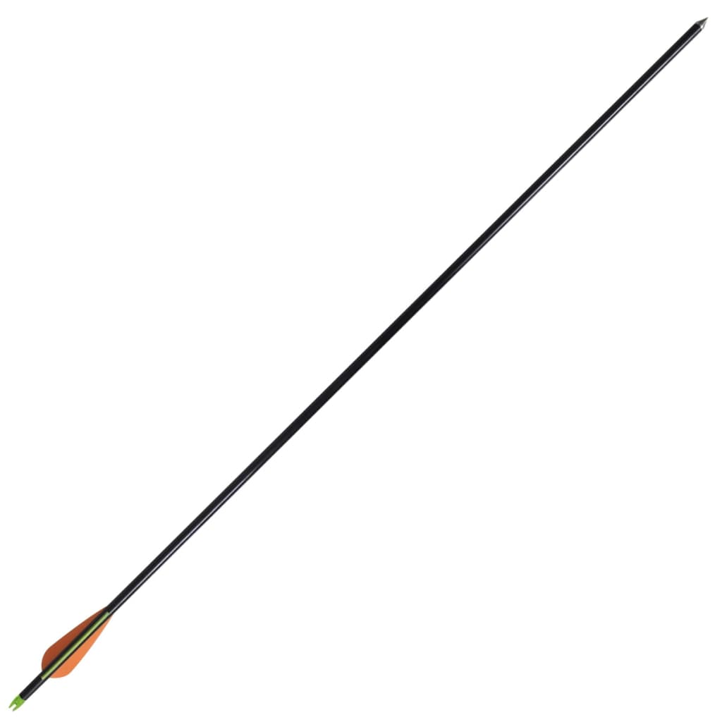 vidaXL Frecce per Arco Composito Standard 12 pz 30" 0,8 cm Fibra Vetro