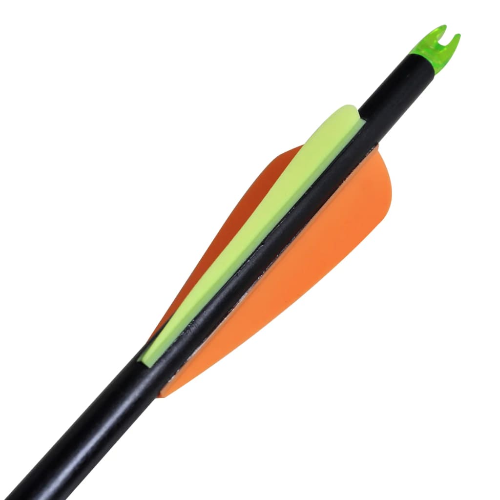 vidaXL Frecce per Arco Composito Standard 12 pz 30" 0,8 cm Fibra Vetro