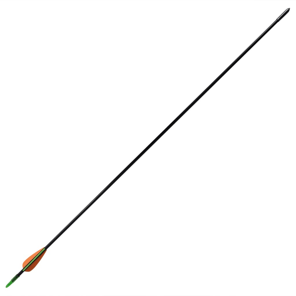 vidaXL Frecce Standard per Archi Ricurvi 12 pz 76,2/0,6 cm Fibra Vetro