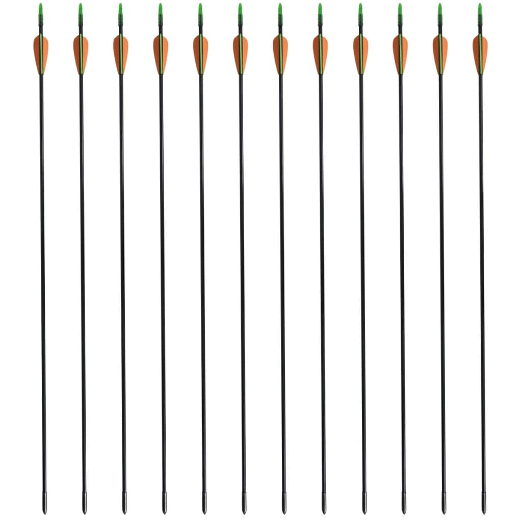 vidaXL Frecce Standard per Archi Ricurvi 12 pz 76,2/0,6 cm Fibra Vetro
