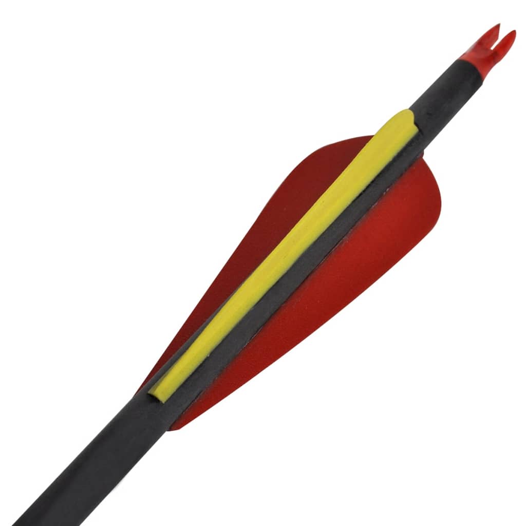 vidaXL Frecce Standard 12 pz per Arco Ricurvo 30" 0,76 cm in Carbonio