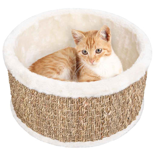 vidaXL Cuccia per gatti rotonda, 36 cm, in erba marina