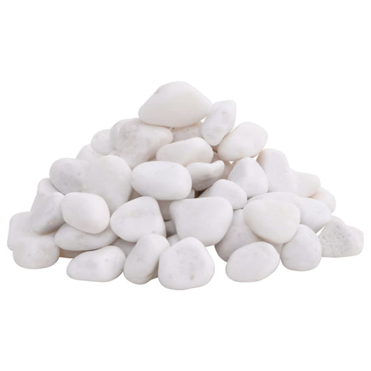 vidaXL Ciottoli lucidati 2-5 cm 10 kg bianchi