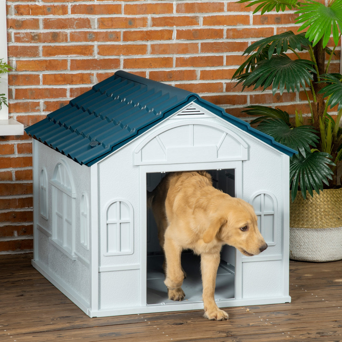 Cuccia per Cani di Taglia Media e Grande max 30kg in PP Impermeabile, 84.2x98.2x82 cm, Blu