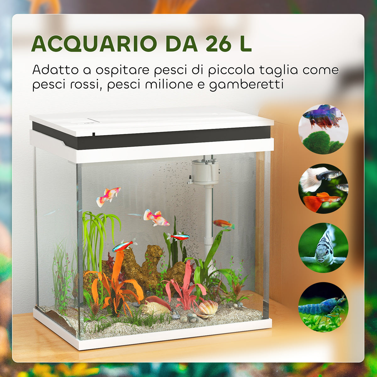 Acquario per Pesci Rossi 26L con Luci LED, Sistema di Filtraggio e Pompa d'Acqua, 38x26x38 cm, Bianco