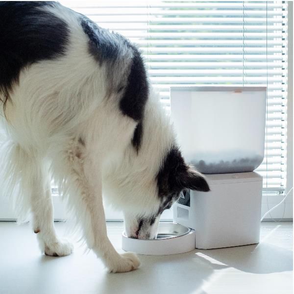 SMART PET FEEDER+CAMERA+APP (7L)