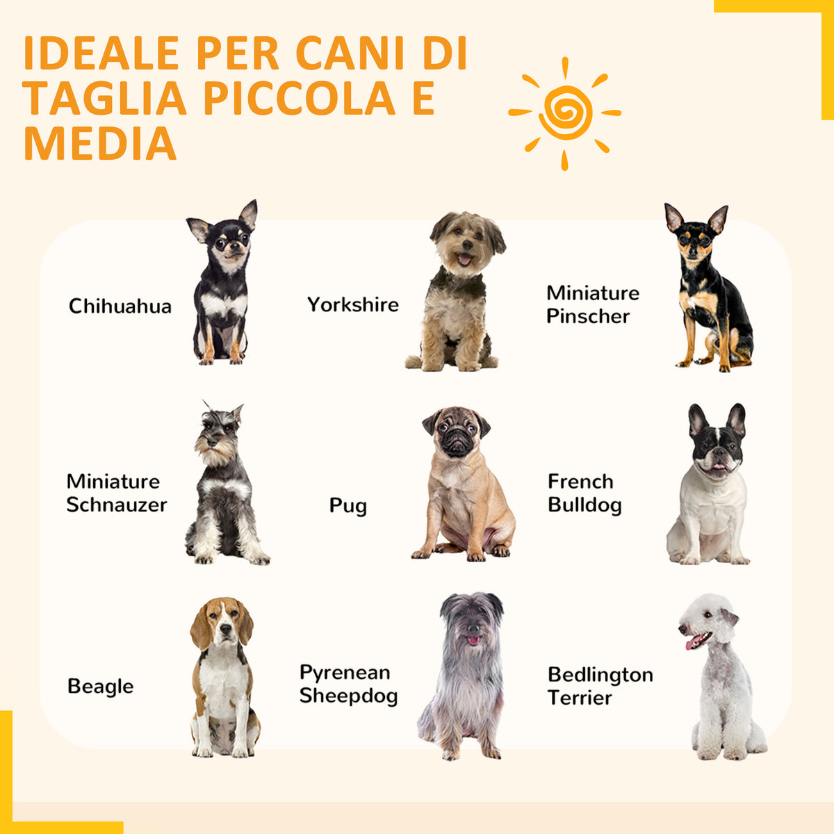 Recinto per Cani a 6 Pannelli Modulabili da Interno ed Esterno, in Acciaio, 164x83x80 cm, Nero
