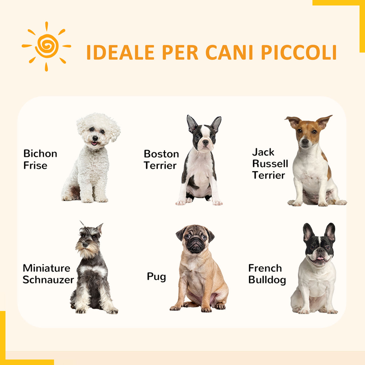 Recinto per Cani a 6 Pannelli Modulabili da Interno ed Esterno, in Acciaio, 164x83x60 cm, Nero