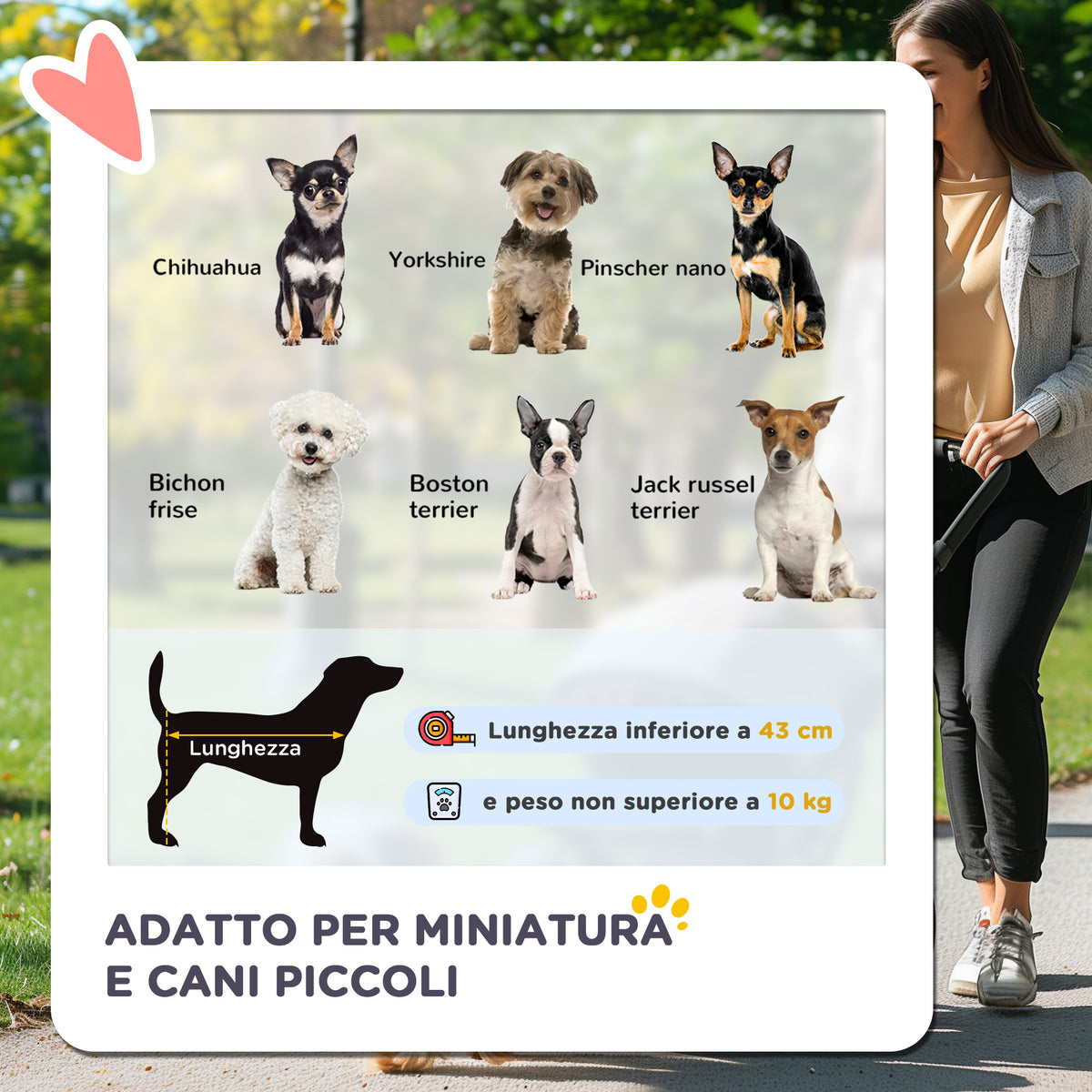 Passeggino per Cani Piccoli Pieghevole con Maniglione Girevole e Cestino Portaoggetti, Nero