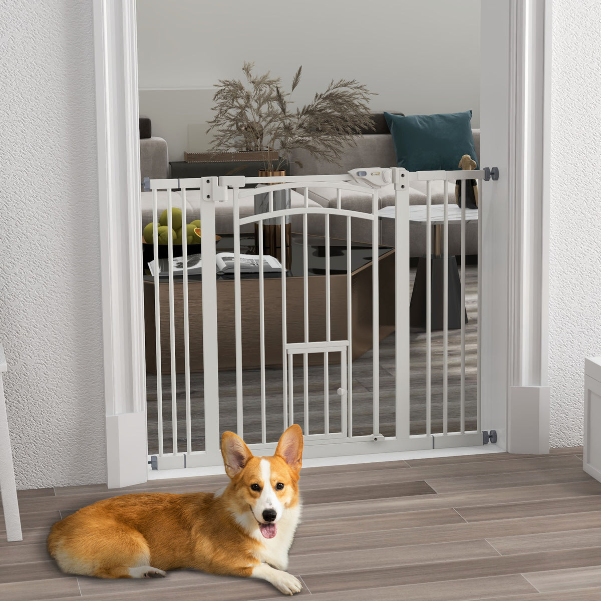 Cancellino per Cani taglia Piccola e Media con Chiusura Automatica, in Acciaio e PA, 74-100x76 cm, Bianco