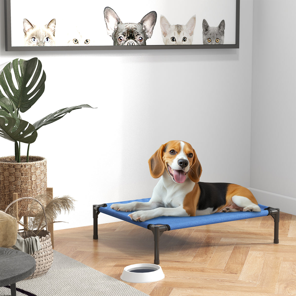Cuccia Lettino per Cani Rialzato Pieghevole per Interno ed Esterno in Metallo e Tessuto Oxford, 76x61x18 cm, Blu