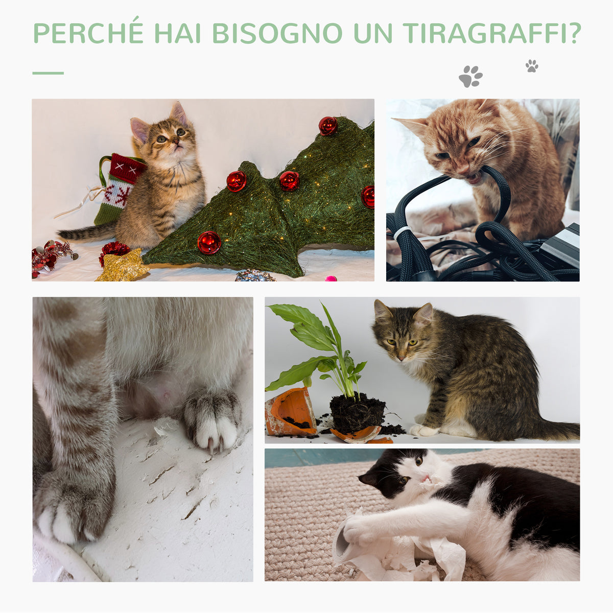 Albero Tiragraffi per Gatti a Forma di Cactus con Corde in Sisal, 40x40x65 cm, Verde