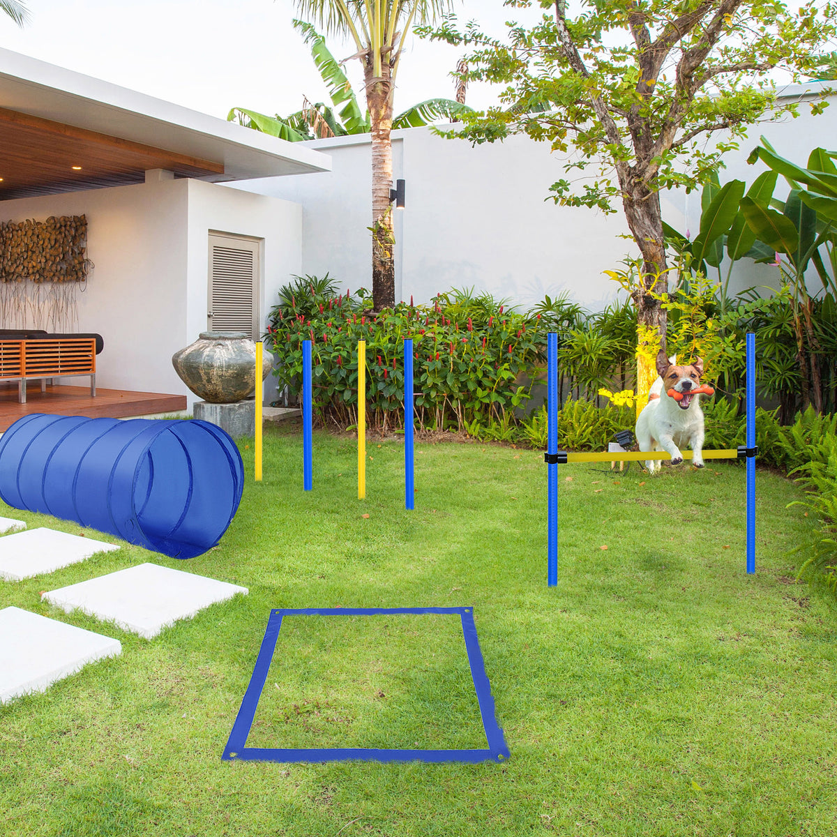 Set Agility Dog per Addestramento Cani con Tunnel, Slalom e Ostacolo, Sacca di Trasporto, Giallo e Blu